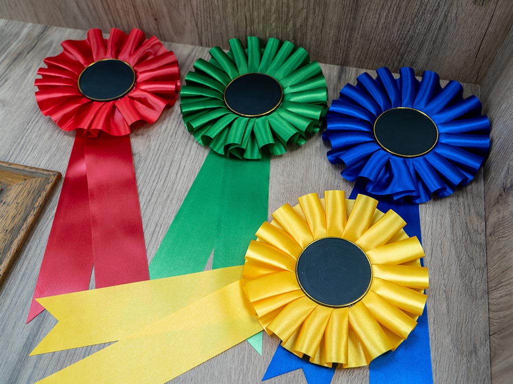 Premios en tienda trofeos medina